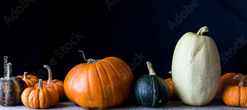 Photography Pumpkins and gourds of assorted shapes and sizes, against a black background