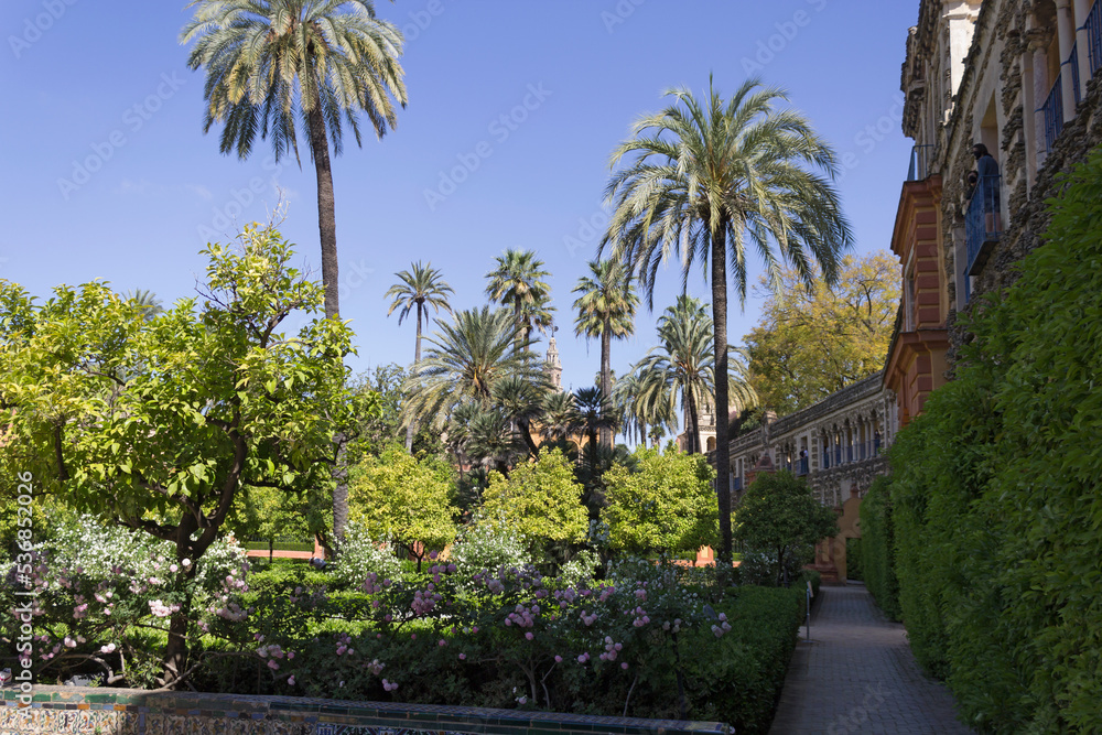  The Real Alcazar Gardens, Seville, Spain.