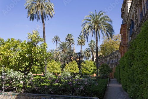  The Real Alcazar Gardens, Seville, Spain.