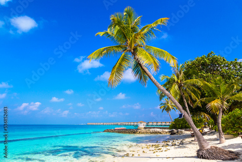 Fototapeta Naklejka Na Ścianę i Meble -  Tropical beach in the Maldives