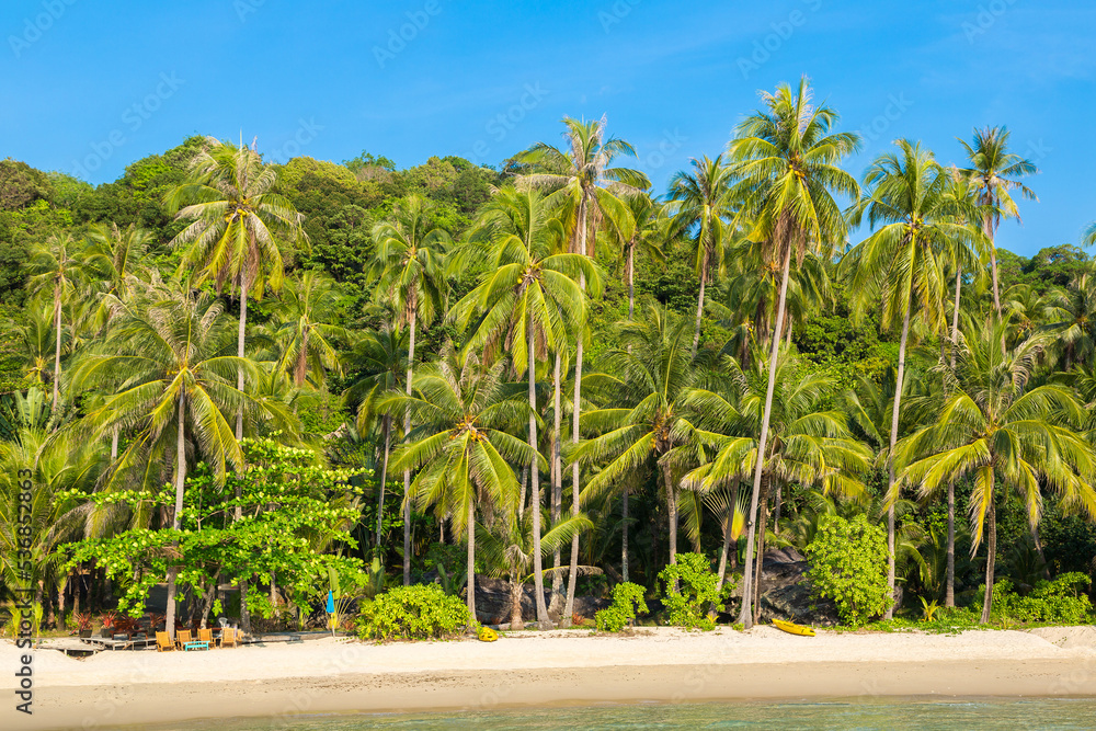 Obraz premium Tropical beach in a sunny day