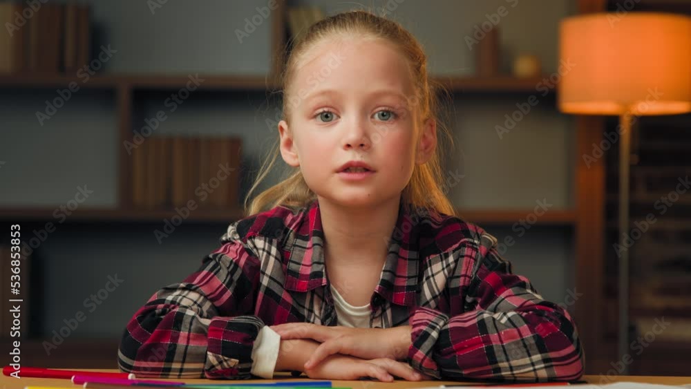 Smart little child pupil pretty schoolgirl look at webcam kid ...