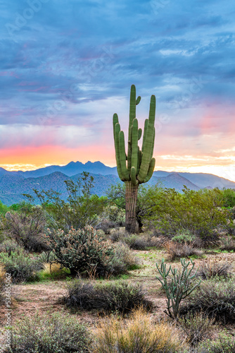 Photograph of sunrise in the Tonto National Forest with Four Peaks in the background. 