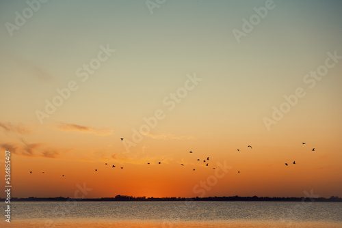 Birds flying in the sea during sunset