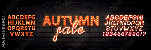 Vector realistic isolated neon marquee sign of Autumn Sale logo with easy to change color alphabet font on the wall background.