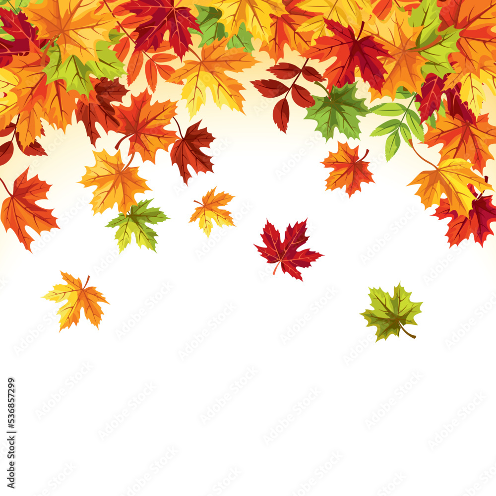 Falling autumn leaves. Background frame with colorful autumn leaves. Greeting or invitation card design. Vector illustration