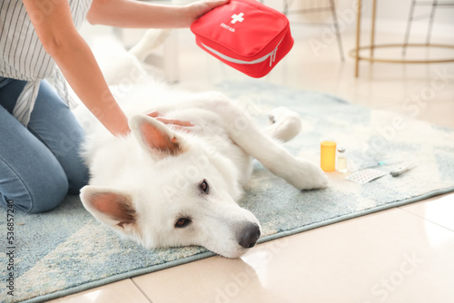 Woman with first aid kit and her white dog at home photo
