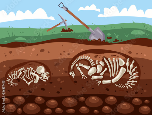 Dinosaur excavation archeology fossil research geology graphic design illustration