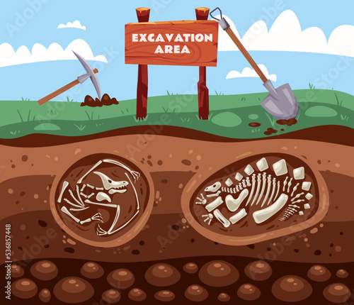 Dinosaur excavation archeology fossil research geology graphic design illustration