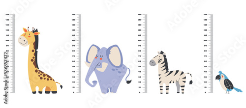 Cute animal ruler kid growth meter scale graphic design illustration
