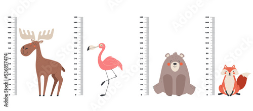 Cute animal ruler kid growth meter scale graphic design illustration
