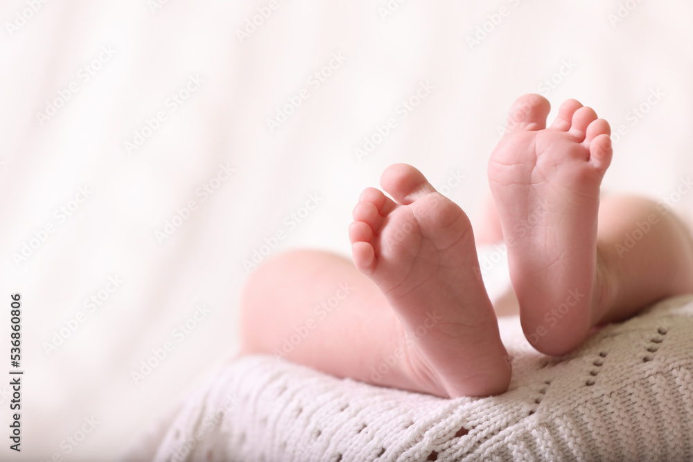 Cute newborn baby lying on white knitted plaid, closeup of legs. Space for text Cute newborn baby lying on white knitted plaid, closeup of legs. Space for text