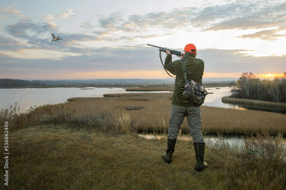 custom made wallpaper toronto digitalDuck Hunter. waterfowl hunter shooting into flying duck during duck hunting at sunrise.