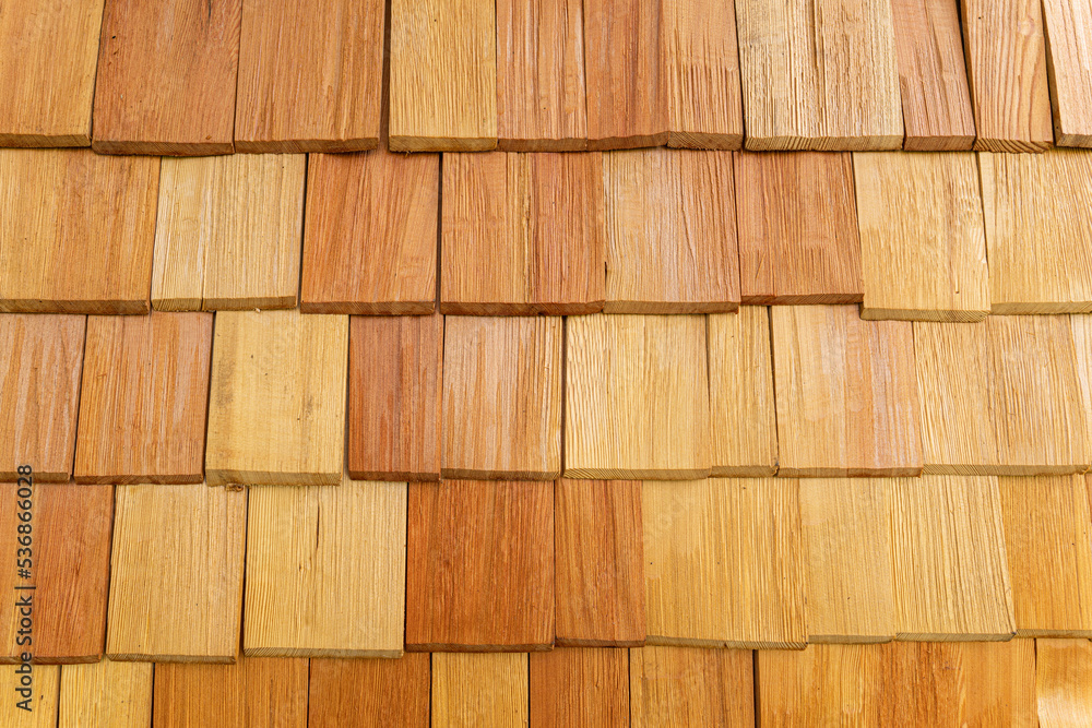 wood texture. background old panels wood texture. background old panels