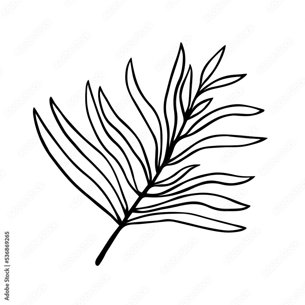 Tree branch with leaves vector icon. Hand drawn stem with foliage. Botanical sketch, outline. Sprig of forest shrub, garden plant, field herb. Illustration isolated on white. Clipart for cards, prints