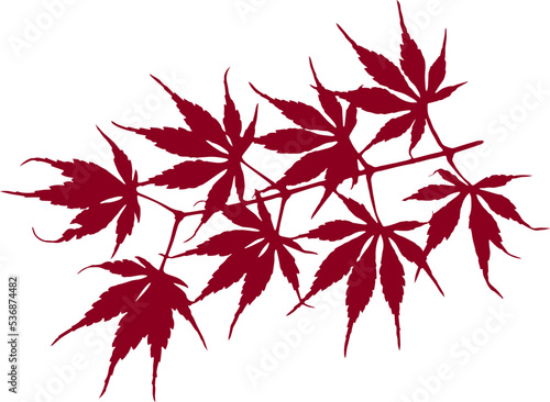 Red Japanese maple leaves, autumn or fall leaves in seasonal thanksgiving or halloween png design element, tree branch or stem vector, nature illustration