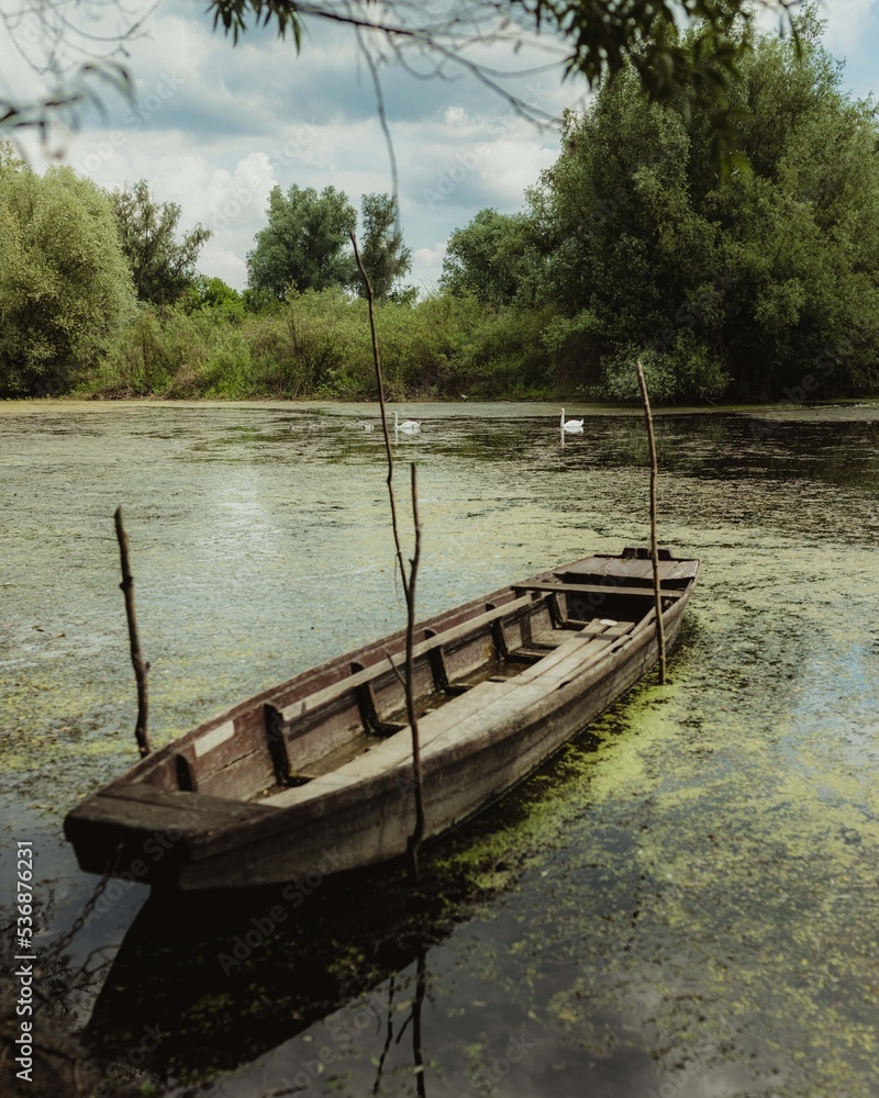 boat, old style, wooden, abandoned, channel, swamp, water, river, boathouse, nature boat, old style, wooden, abandoned, channel, swamp, water, river, boathouse, nature