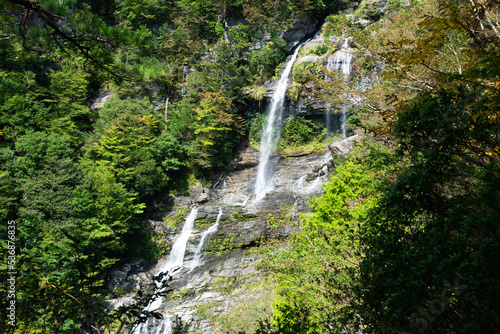 高知県いの町程野の東滝 9月頃の景色 © RYOTA