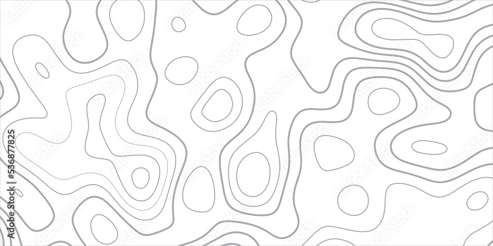 The stylized height of the topographic contour in lines and contours. White Background. The concept of a conditional geography scheme and the terrain path. Vector illustration The stylized height of the topographic contour in lines and contours. White Background. The concept of a conditional geography scheme and the terrain path. Vector illustration