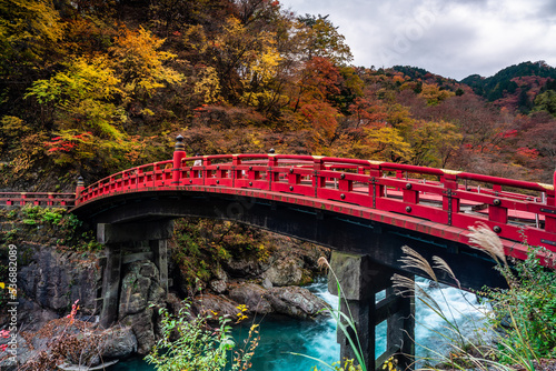 фотографія 栃木県　日光　秋の神橋