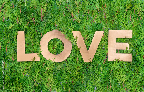Word LOVE in gold paper cutouts on real green leaves background. Wedding day, Valentine's Day concept. Top view