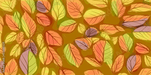 Autumn background of leaves  vector design