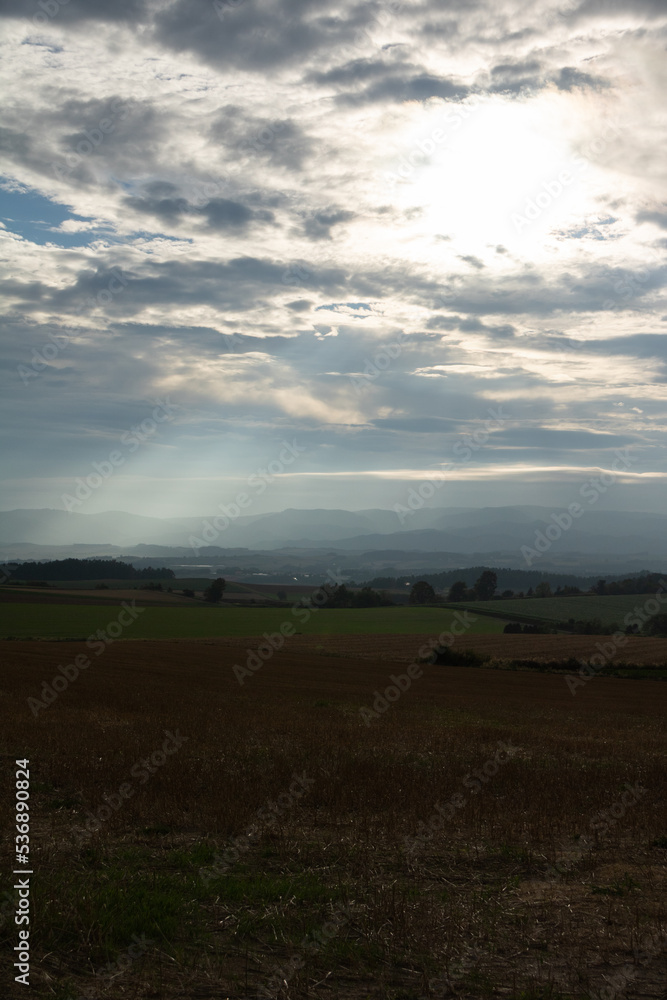 Obraz premium 夏の畑作地帯と天使の梯子 