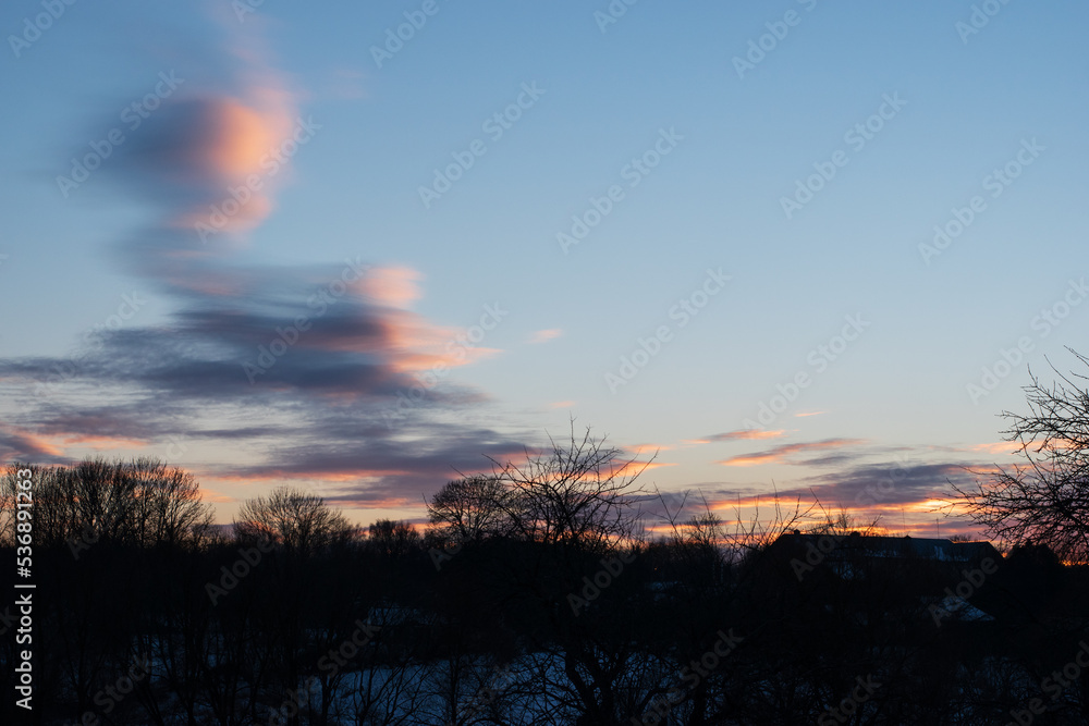 Fototapeta premium Blue sky after sunset. Branches of trees without leaves in winter.