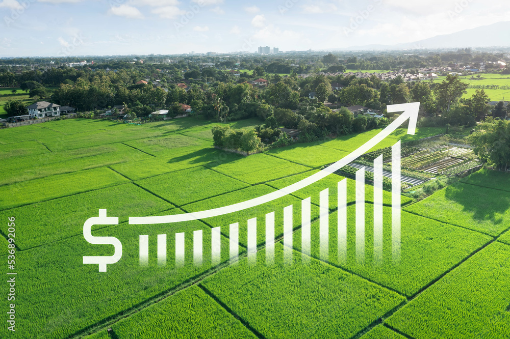 Land value in aerial view consist of landscape of green field or agriculture farm, growth graph of rate market price for agent, realtor, investor to sale, buy, mortgage and investment in Chiang Mai.