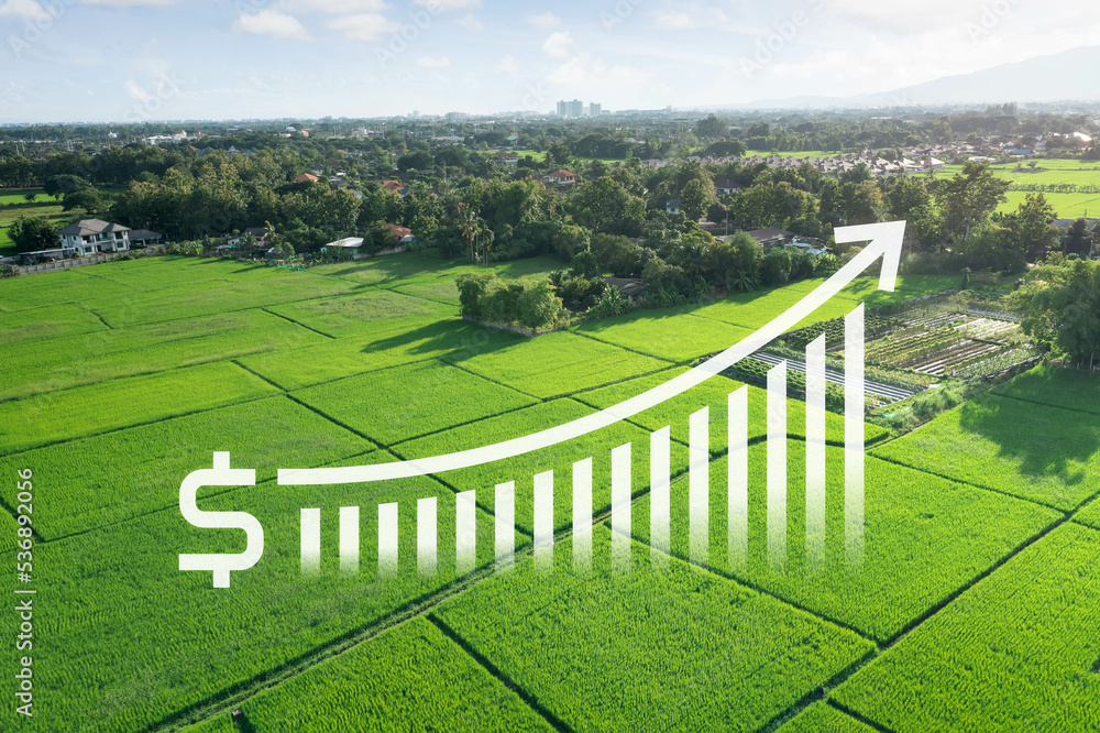 Fototapeta premium Land value in aerial view consist of landscape of green field or agriculture farm, growth graph of rate market price for agent, realtor, investor to sale, buy, mortgage and investment in Chiang Mai.