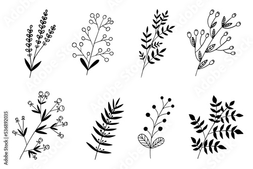 Floral vector doodle set with black outline on a white background. Berry, leaves, twigs, petals. Element of nature, floristry, to create a pattern, decor for card, invitation, greeting, label.