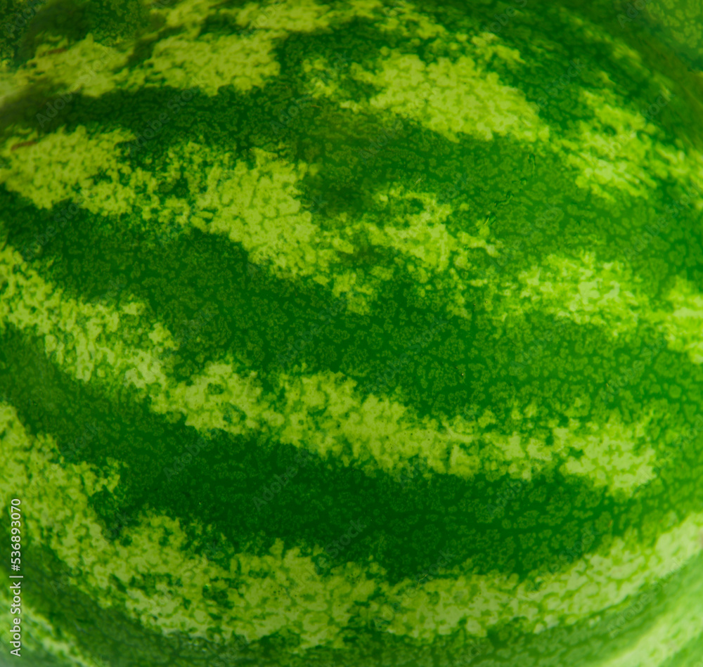 watermelon skin pattern as design background