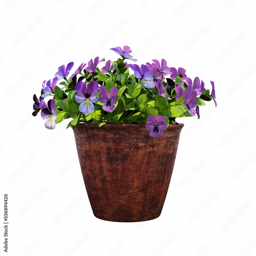 decorative flower in a pot isolated on white background, 3D illustration, cg render decorative flower in a pot isolated on white background, 3D illustration, cg render