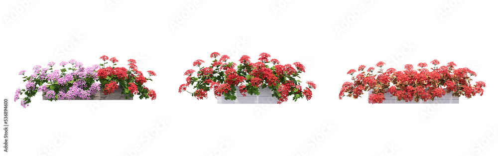 decorative flower in a pot isolated on white background, 3D illustration, cg render decorative flower in a pot isolated on white background, 3D illustration, cg render