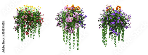 Bild auf Leinwand decorative flower in a pot isolated on white background, 3D illustration, cg ren