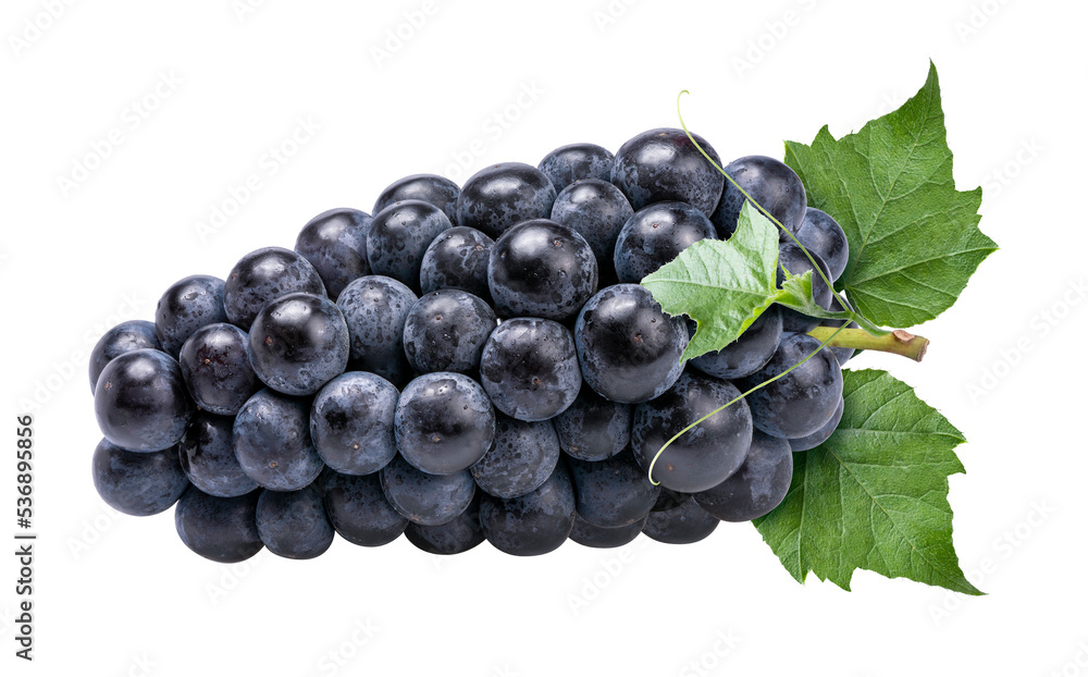 Purple grape on white background, Kyoho Grape with leaves on white PNG file. Purple grape on white background, Kyoho Grape with leaves on white PNG file.