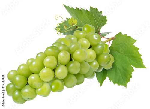 Green grape with leaves isolated on white. Shine Muscat Grape on white PNG file.