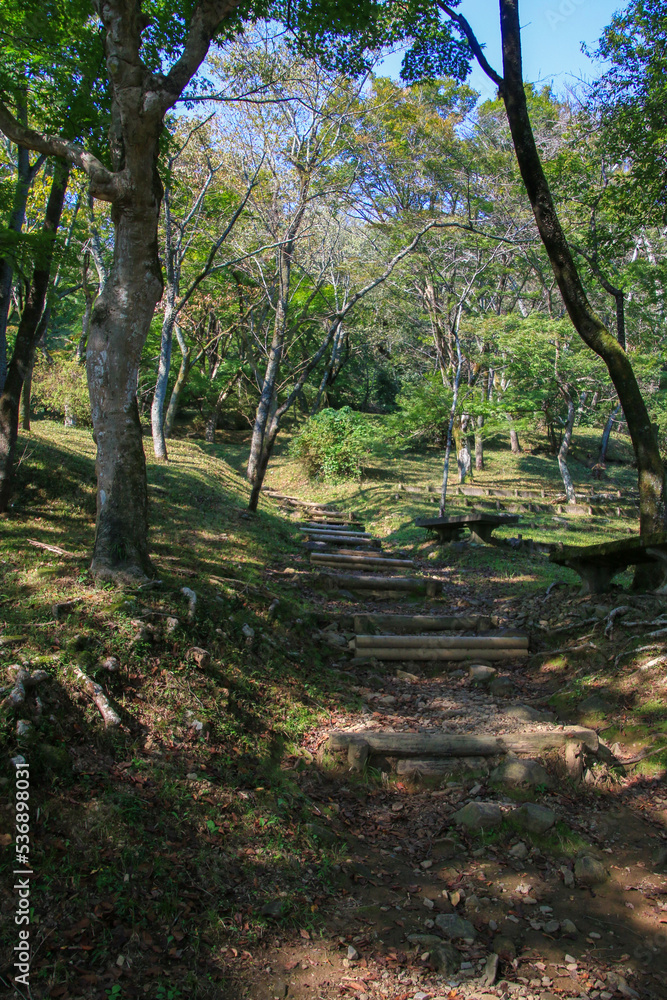 Naklejka premium 霞間ヶ渓公園