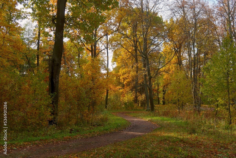 autumn in the park