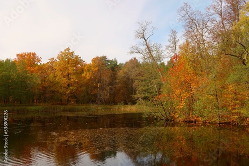 autumn in the park