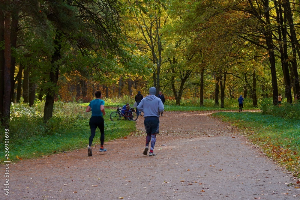 Fototapeta premium walking in the park