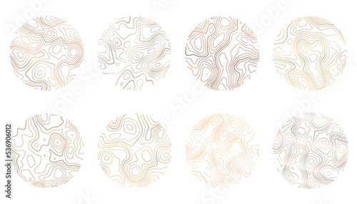 Wood texture with topography lines. Organic ripple wavy patterns. Tree rings set. Vector doodle illustration with gradient.