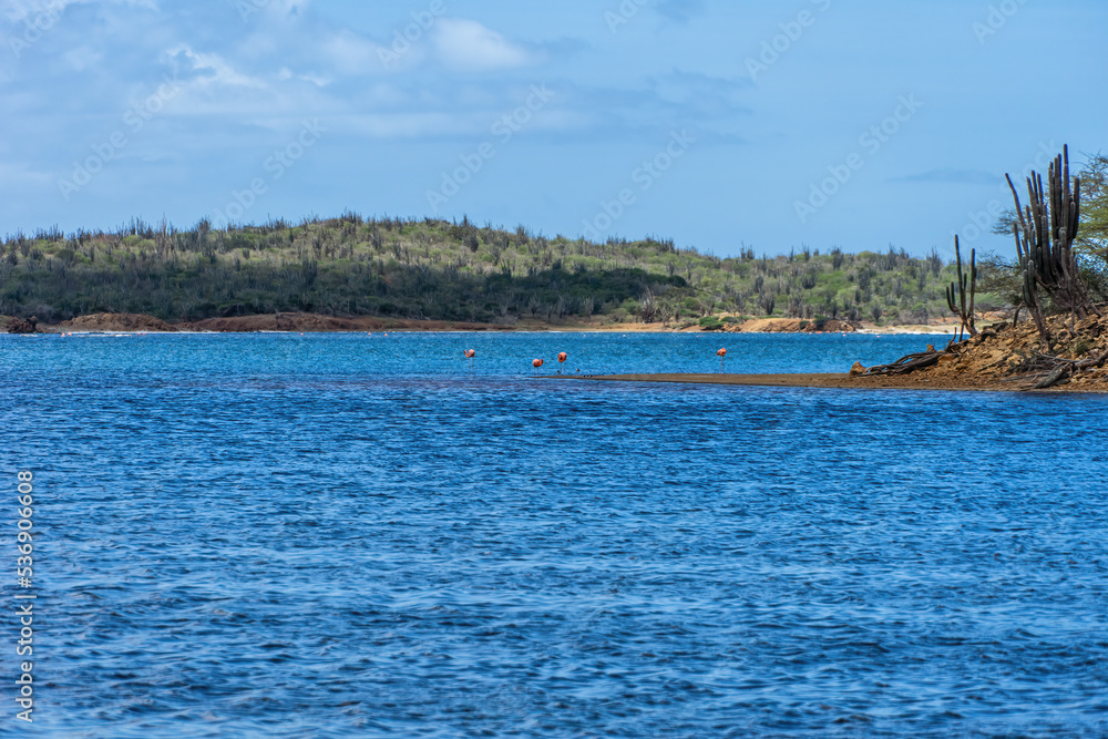 Panoramic of Goto Salt or Flamingo Lake on the island of Bonaire. Panoramic of Goto Salt or Flamingo Lake on the island of Bonaire.