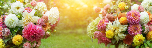 Floral composition with dahlia flowers  asters and hydrangeas  a bouquet of flowers