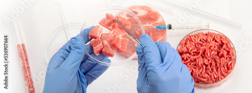 Petri dish with cultured meat in laboratory photo