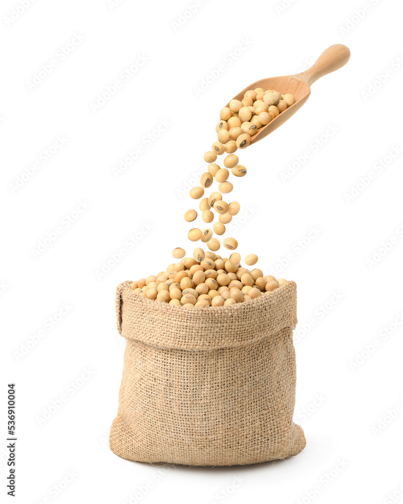 Pouring Soybeans from wooden spoon into sack isolated on white background. Pouring Soybeans from wooden spoon into sack isolated on white background.