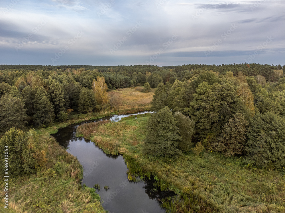 A view of a small, wild river in central Poland.