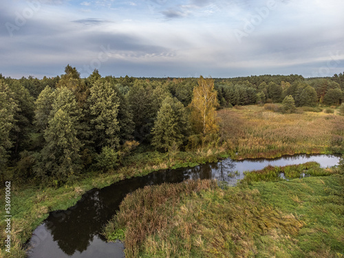 A view of a small, wild river in central Poland.