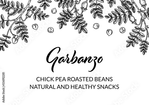 Hand drawn chickpeas botany background. Vector illustration in sketch style. Packaging design