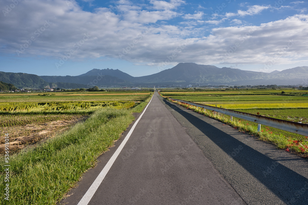 Naklejka premium 一本道, 道, 直線, 空, 風景, 野原, 自然, 草, 雲, ルーラル, いなか, 緑, 牧草地, 地平線, 木, 旅行, 景色, 青, 地球の